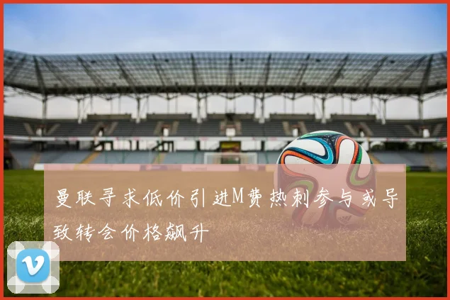 曼联寻求低价引进M费热刺参与或导致转会价格飙升
